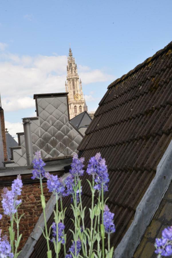 Huize Amoras Antwerp Luaran gambar